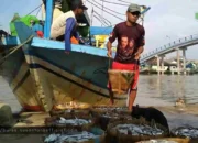 Gelombang Tinggi Lumpuhkan Nelayan Karawang, Ekonomi Keluarga Terancam