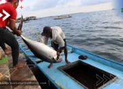 Pemerintah Bentuk Satgas Hilirisasi, Bahlil Lahadalia Ditunjuk sebagai Ketua