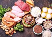 9 Sumber Protein Terbaik untuk Kesehatan Tubuh Anda