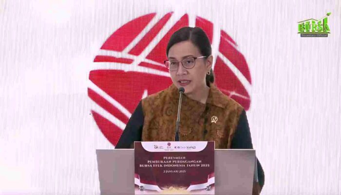 Aturan Baru Sri Mulyani Soal PPN, Transisi 3 Bulan Dimulai