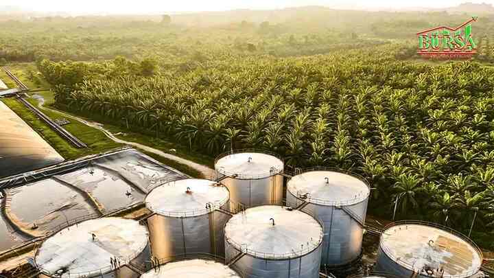 harga cpo tertekan tren pelemahan di pasar global kompres