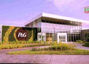 Perusahaan AS Digugat karena Fluorida dalam Produk Anak