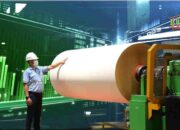 Saham TKIM: Potensi Cuan Besar dari Emiten Grup Sinar Mas