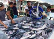 Solusi Pemerintah Dorong UMKM Demi Ketahanan Pangan