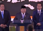 Danantara Diresmikan, Saham Bank BUMN Justru Terkoreksi