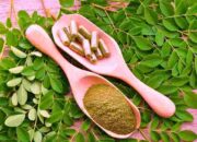 Daun Kelor: Manfaat Super dan Risiko Kesehatan yang Tersembunyi