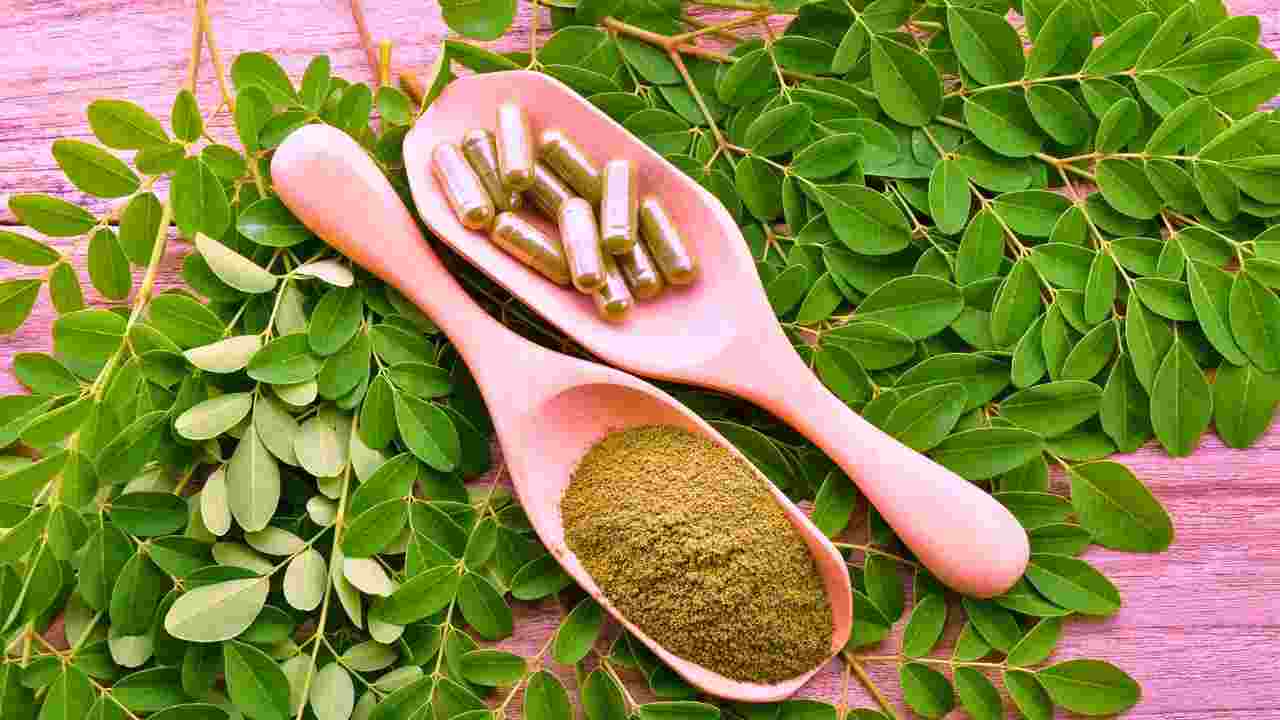 daun kelor manfaat super dan risiko kesehatan yang tersembunyi kompres