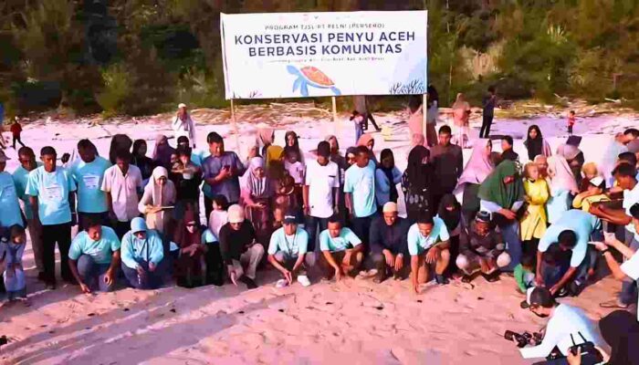 Dukungan Pelni Konservasi Penyu di Pulo Aceh, Tingkatkan Ekowisata Berkelanjutan