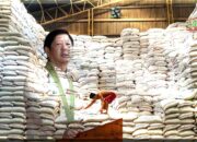 Filipina Umumkan Darurat Pangan, Harga Beras Melonjak