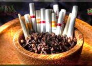 Industri Kretek, Pilar Ekonomi Daerah yang Butuh Perlindungan