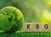 Industri Nikel Indonesia Dorong Strategi ESG untuk Keberlanjutan