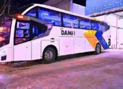 Mudik Lebaran 2025: DAMRI Siapkan 1.220 Armada, Tiket Ludes Terjual!