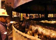 PT Freeport Jual 125kg Emas ke Antam, Dorong Hilirisasi Emas