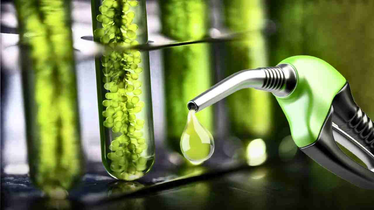 pemerintah diminta percepat roadmap bioetanol sebagai bbn kompres