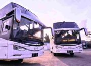 Promo Tarif DAMRI: Hanya Rp60.000 ke Bandara Soekarno-Hatta