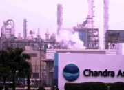 TPIA Pertahankan Peringkat B CDP untuk Perubahan Iklim & Air