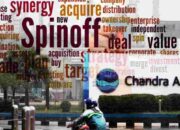 Update Rencana IPO Anak Usaha TPIA Prajogo Pengestu