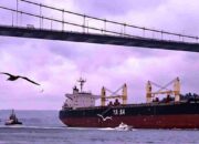 Zelenskiy Menentang Trump Kuasai Mineral Kritis Ukraina