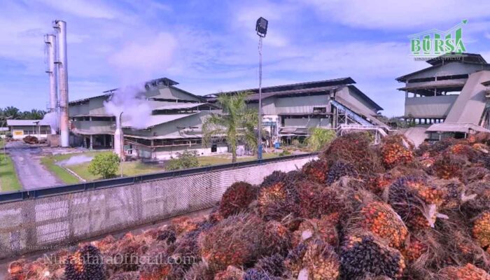 Astra Agro Lestari AALI Catat Kenaikan Laba 867 Di 2024