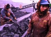 China Perketat Bea Cukai Batubara, Impor Diprediksi Turun