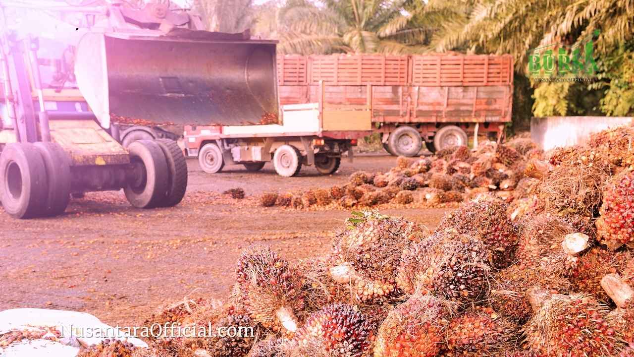 Industri Hilir Sawit Sumbang Rp 750 Triliun Perlu Kepastian Regulasi