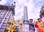 Kinerja Positif PGAS di 2024, Tantangan Besar Menanti di 2025