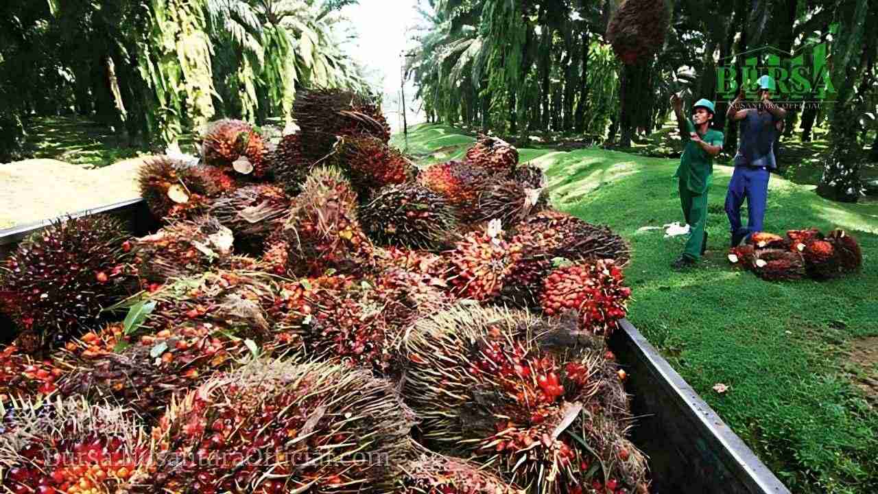 Lo Kheng Hong Tambah Cuan Laba ANJT Melonjak 1067