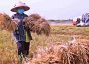 OJK Dorong Asuransi untuk Petani, Nelayan, dan Energi Hijau