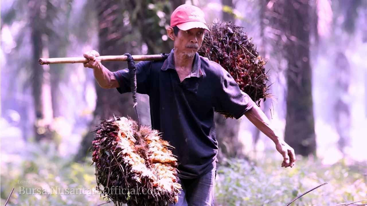 Pemerintah Genjot Sertifikasi Lahan Petani Sawit Demi Kepastian Hukum