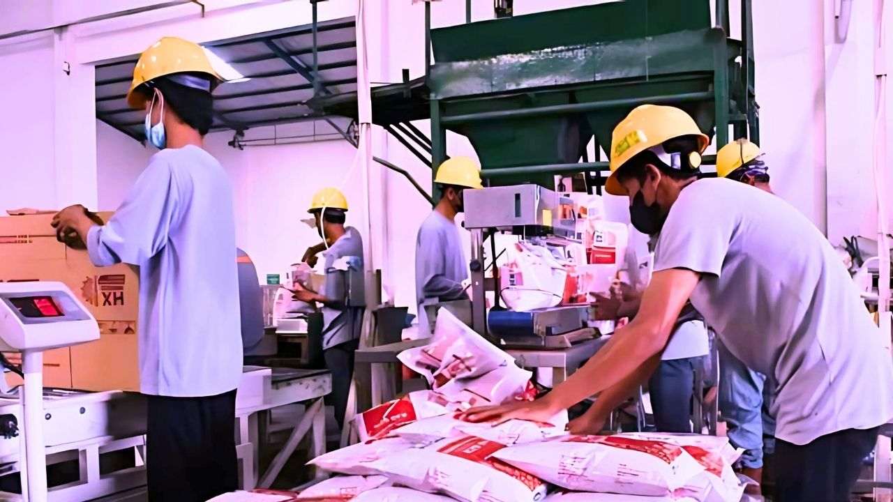 Prospek Cerah DGWG Ekspansi Bisnis Pupuk Dan Agrokimia