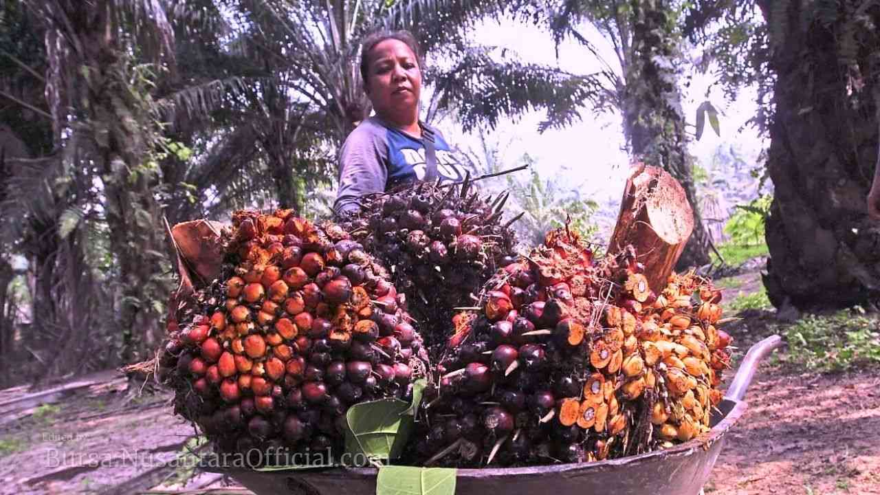 SSMS Pacu Produksi CPO, Optimalkan Ekspor Saat Harga CPO Global Naik