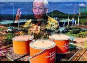 Saham ANJT Melejit, Portofolio Lo Kheng Hong Curi Perhatian