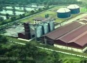 Sumber Tani Agung (STAA) Targetkan Pertumbuhan Produksi 2025