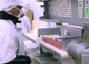 BEEF Sambut Positif Wacana Hapus Kuota Impor Daging