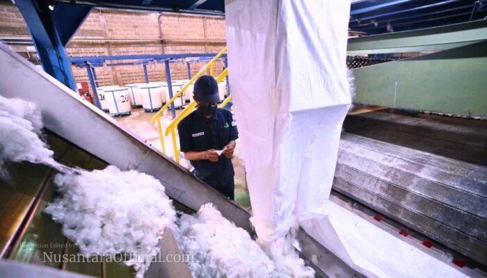 INOV Bukukan Penjualan Rp629 M di 2024, Laba Naik Signifikan