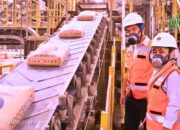 Indocement (INTP) Tahan Kinerja di Tengah Lesunya Industri Semen