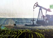 Ketegangan AS-Iran Dorong Minyak Tembus US$67