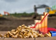 Laba Bersih ARCI Turun 28%, Pendapatan Tumbuh 15%