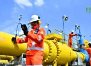 Laba Bersih PGAS Kuartal I 2025 Anjlok Hampir 50 Persen