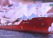 Laba HUMI Emiten Tommy Soeharto 2024 Tembus USD11,51 Juta