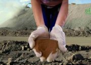 PT Timah Tbk (TINS) Genjot Proyek Rare Earth di Bangka