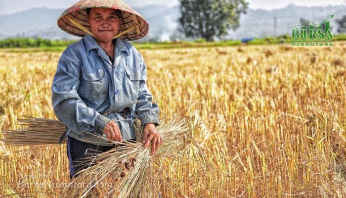Peta Jalan Asuransi Pertanian 2025-2030 Resmi Diluncurkan