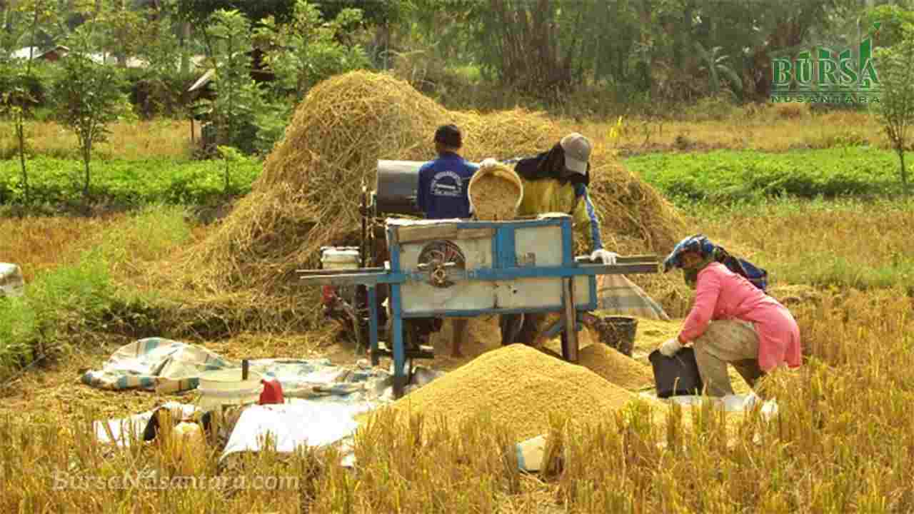 Presiden Prabowo Buka Peluang Ekspor Beras, Ini Kata CORE