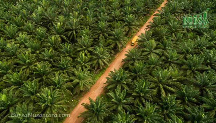 TLDN Akuisisi Perkebunan Sawit Rp210 Miliar