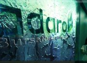 AADI Tahan Dividen Final 2024, Prioritaskan Stabilitas Pascapencatatan Saham