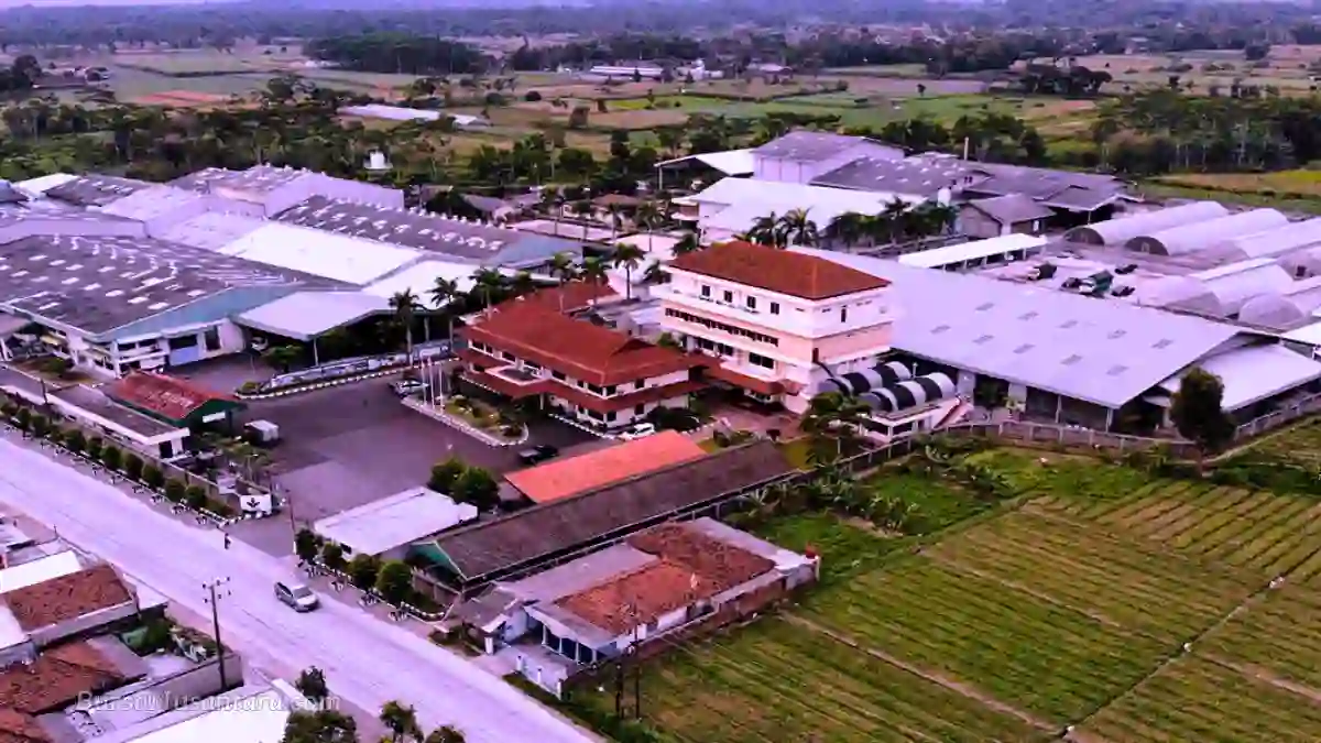 BISI International Alokasikan Dividen Rp84 Miliar, Jadwal Lengkap 2025