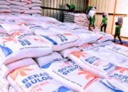 Bulog Catat Rekor Serapan Beras Tertinggi Sepanjang Sejarah