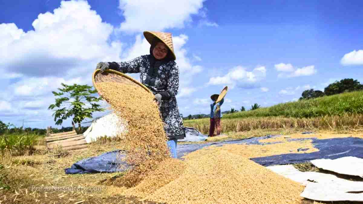 Bulog Klarifikasi Soal 40% Gabah Dibeli di Bawah HPP