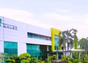 Kalbe Farma Bagi Dividen & Genjot Produksi Obat Kanker