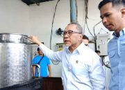 Ekspor Kelapa ke Tiongkok Picu Kelangkaan di Dalam Negeri